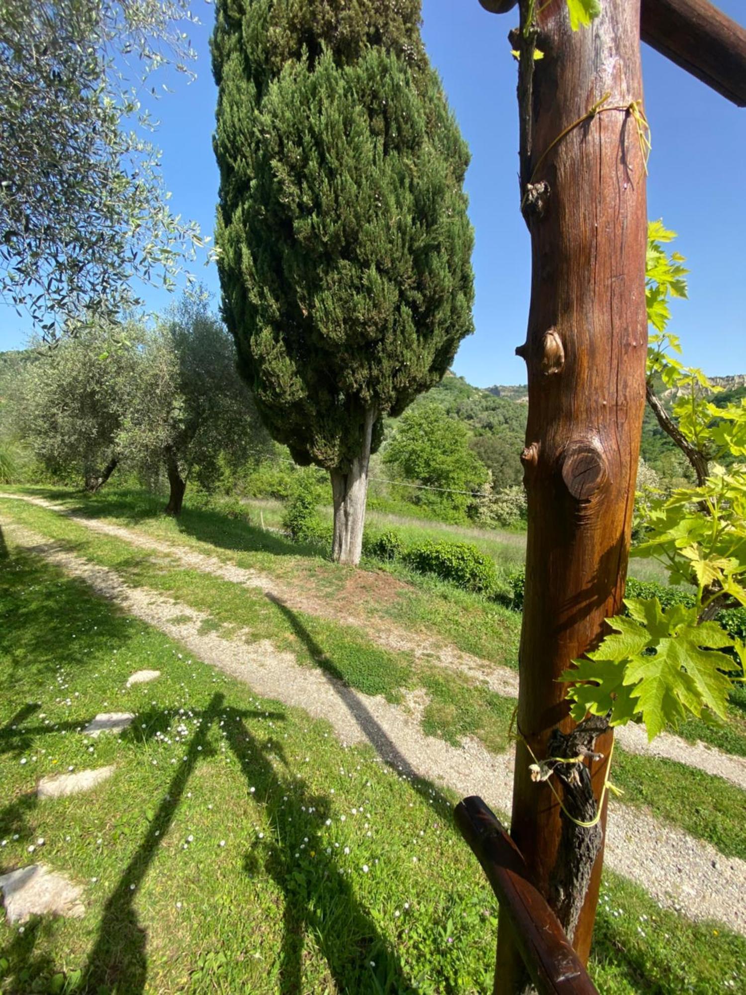 Dimora Bella Civita באנורג'יו מראה חיצוני תמונה